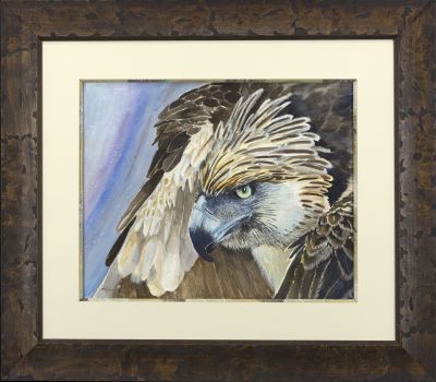 haribon eagle framed.jpg